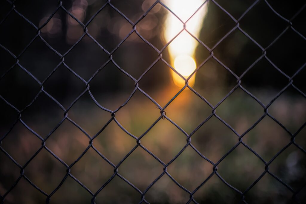 A wire fence is in sharp focus contrasted with the blurry promise of the forest outside.