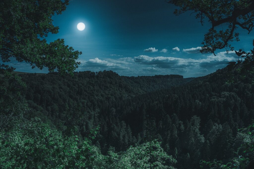 The moon shines out over an ocean of trees. The picture is framed with two deciduous trees whose branches can just be seen in the upper left, and right of the image. There sky is partly cloudy, and no stars yet peak out from the heavens above.